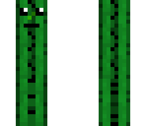 cactus guy