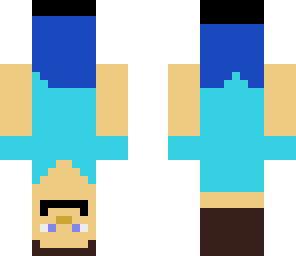 upside down steve