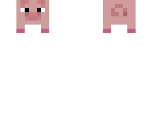 baby pig