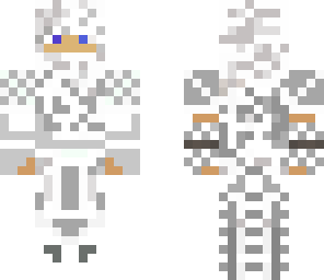 snow ninja