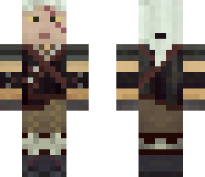 the witcher