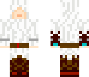 new assasin 