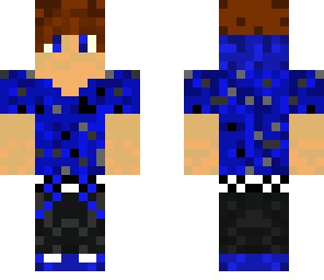 blue skater vote