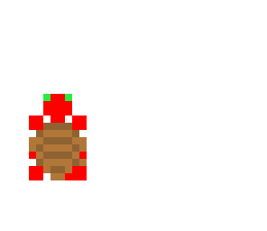 magic turtle