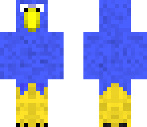 pirate parrot
