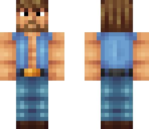 the chuck norris