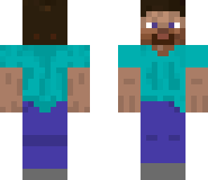 Backward Steve | Minecraft Skins