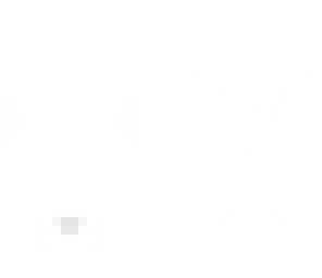 whitey