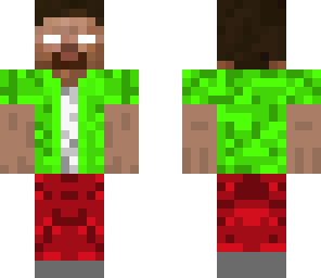 modern steve