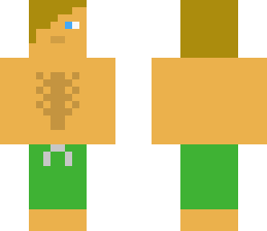 surfer dude