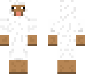 sheep