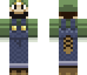 raccoon luigi