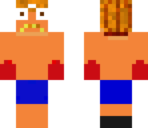 boxer