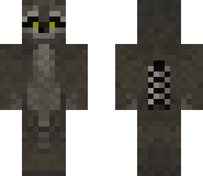 racoon