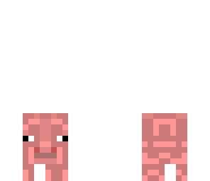 pig