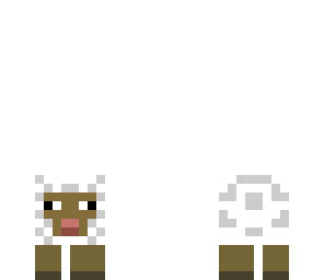 sheep