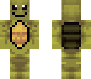 turtle of awesomeness