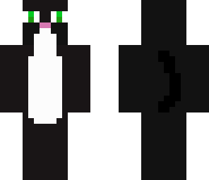 cute catz