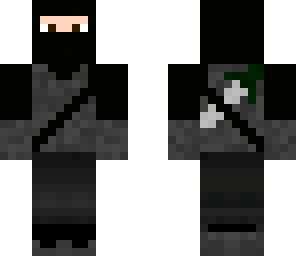 ninja skin