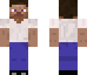 a normal steve