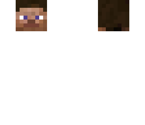 floaty steve head