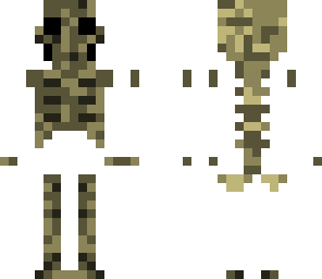skeleton with chest