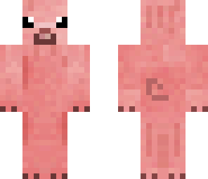 cute pig