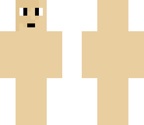 blank skin