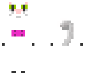 cat with udders