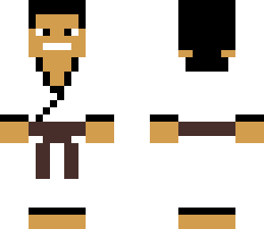 tae kwon do brown belt