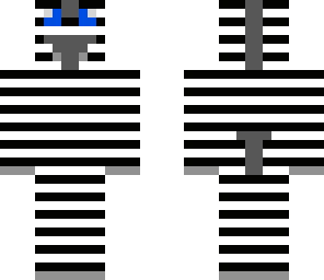 mr zebra