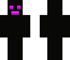 ender ninja