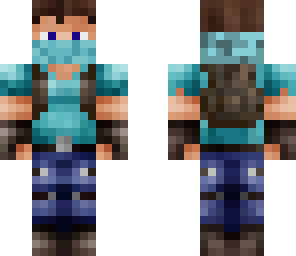 ninja steve