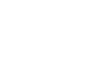skeletton
