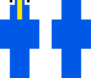 bird ocean runner