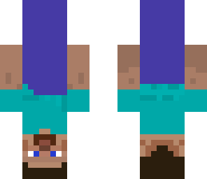 upside down steve