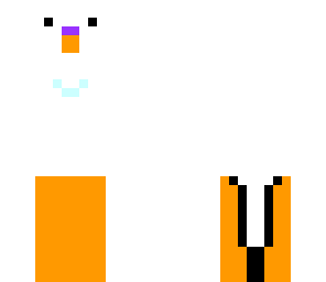 parakeet