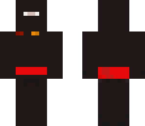 ninja skin 
