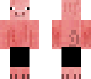 pig