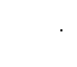 black dot on the head