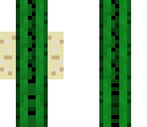 sand biom camo
