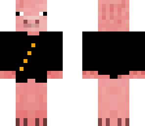 pig with jacket