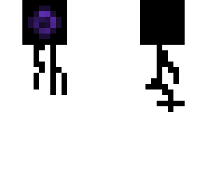 the eye