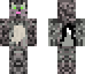 grey cat