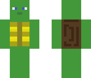 turtle dude