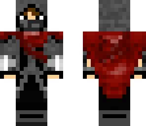 assassin's ninja