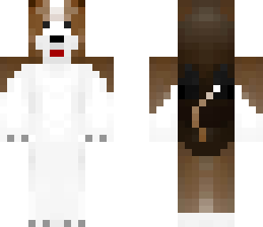 cachorro