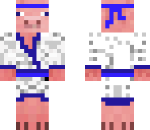 blue karate pig