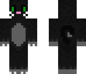 black-grey cat