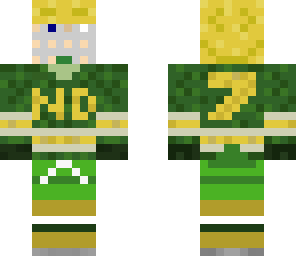 nd hockey player